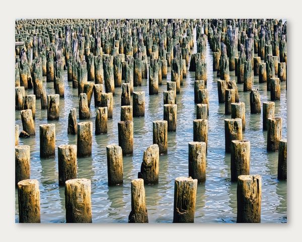 Dis-a-pier