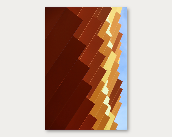 Fall Fins 1