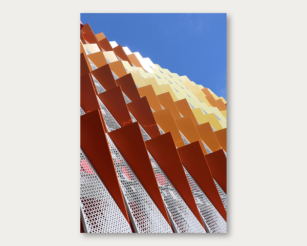 Fall Fins 2