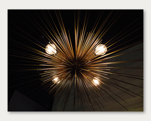 Light Urchin