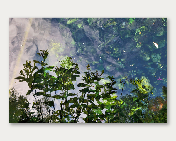 Rockpool Inversion