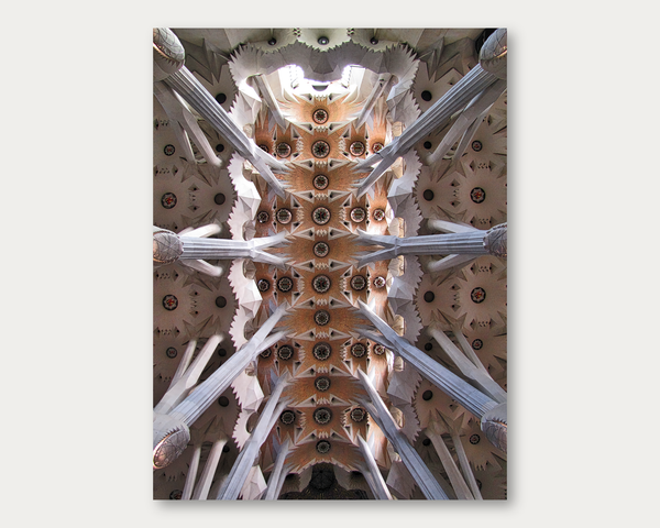 Sacred Ceiling