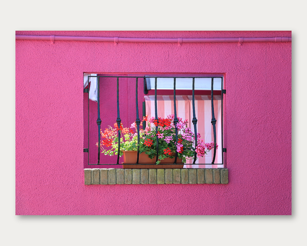 Vita Tinta di Rosa