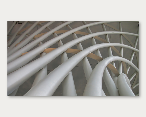 Web of Struts