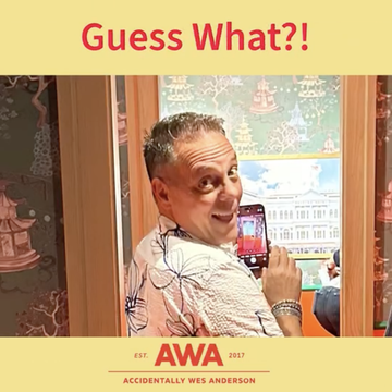 We’ve been selected to show at the Accidentally Wes Anderson Exhibition!!