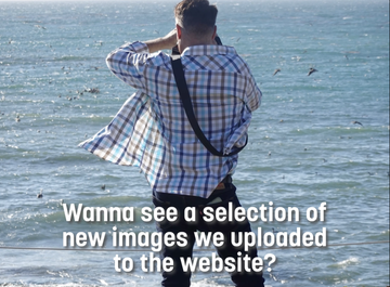 We have more new images to show you…