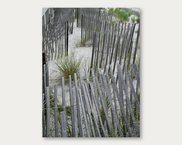 Beach Fences