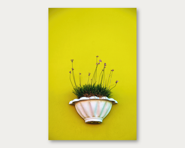 Lemon and Lavender