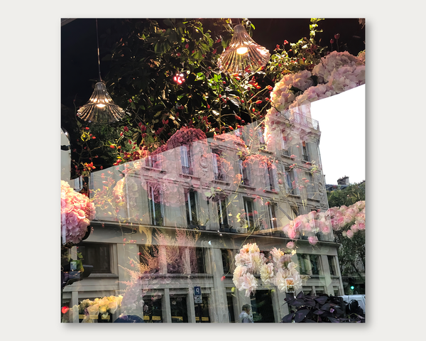 Les fleurs de Sebastien