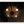 Light Urchin
