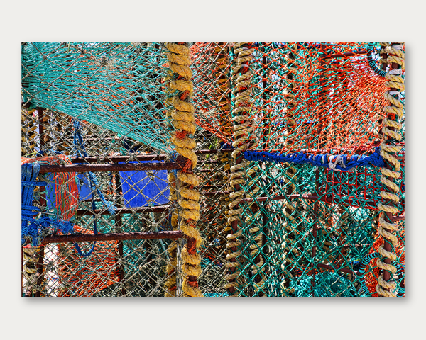 Nets and Knots 1