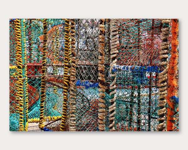 Nets and Knots 2