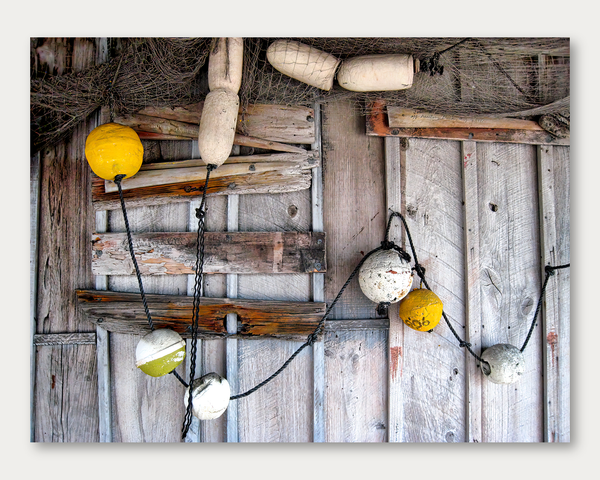 The Boatshed