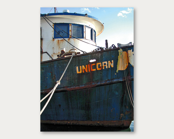 Unicorn Past