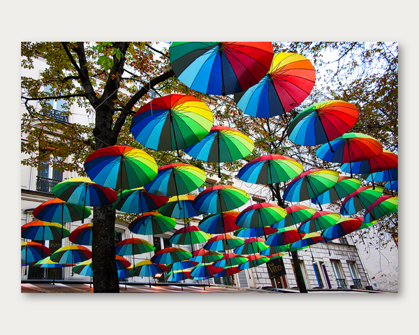 Vito's Umbrellas