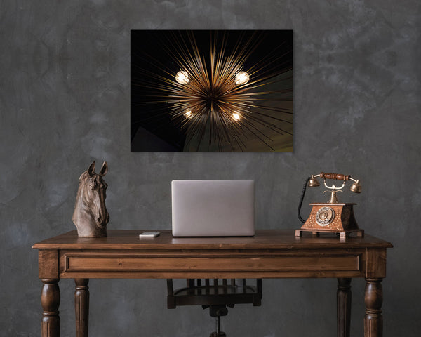 Light Urchin