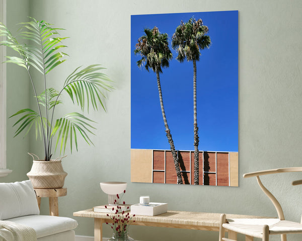 Twin Palms